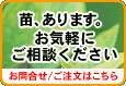 苗お問合せ/ご注文フォーム