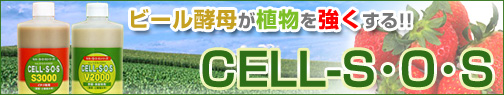 �L�앨��