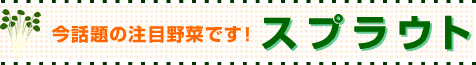 ���b��̒��ږ�؁u�X�v���E�g�v�̂��Љ�ł��I