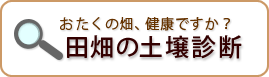 �c���̓y��f�f
