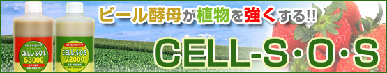 CELL-S�O�S