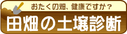�c���̓y��f�f