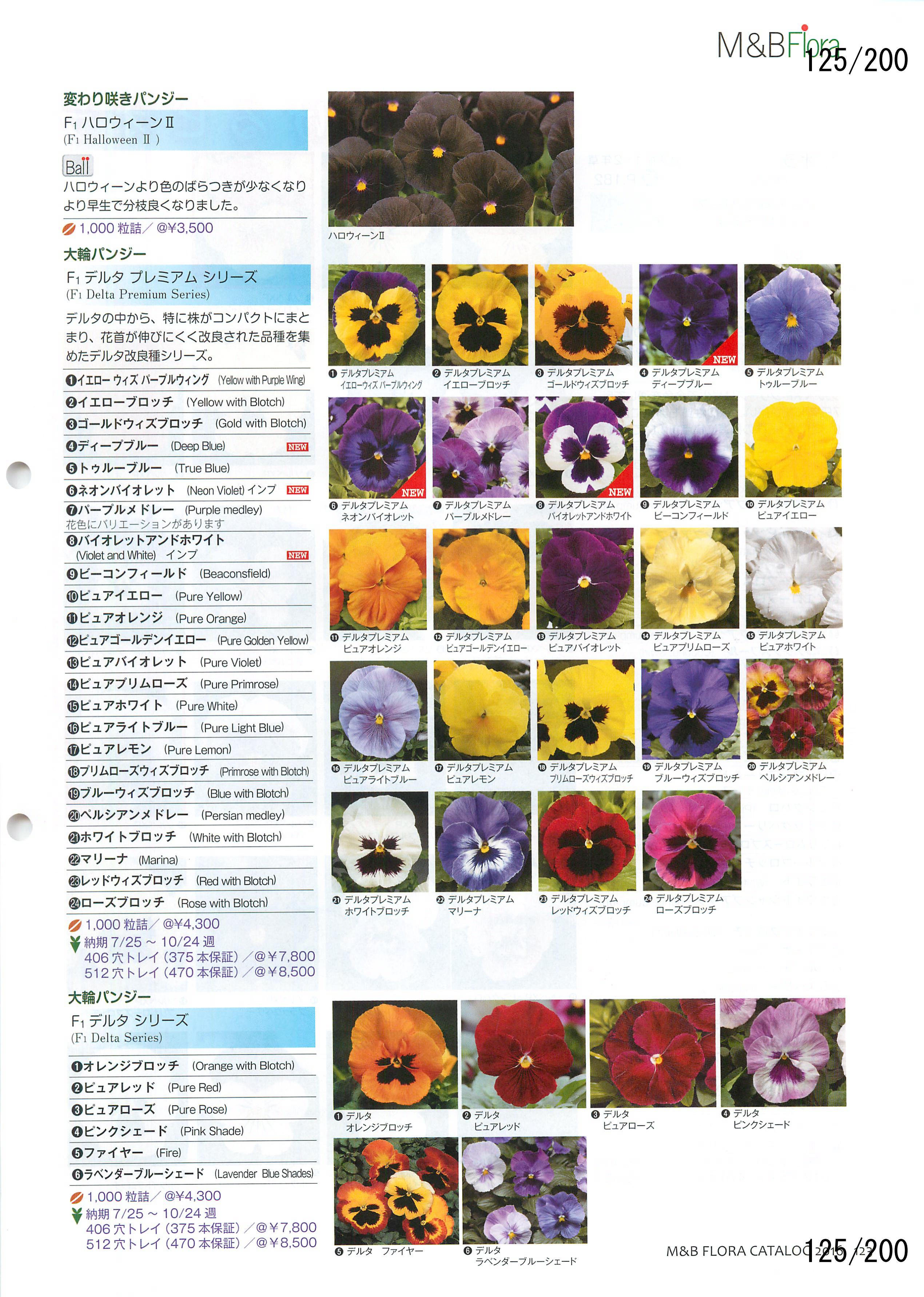 M B Flora Vol 125ページ