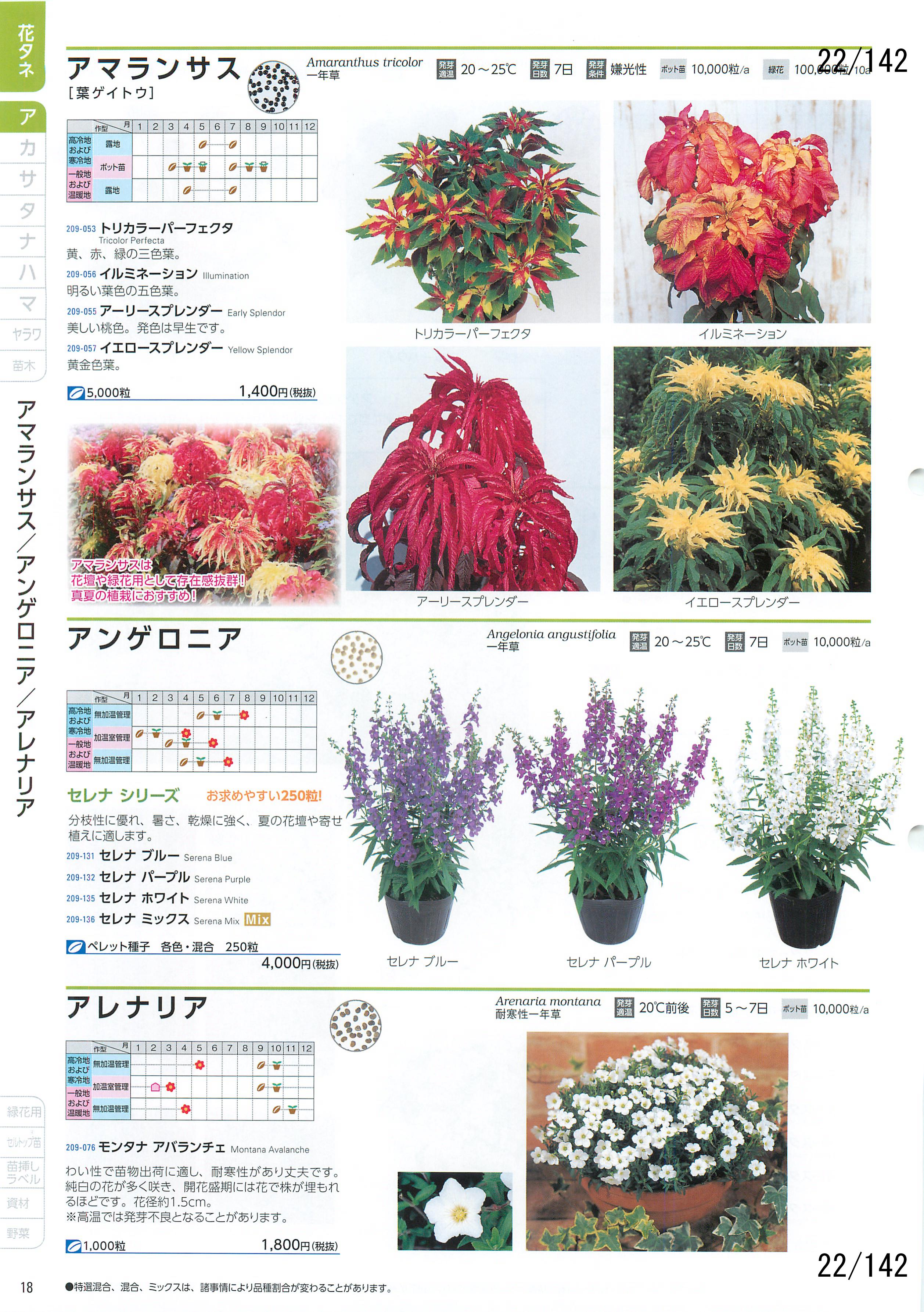 TJ^̉ CATALOG No.92F22y[W