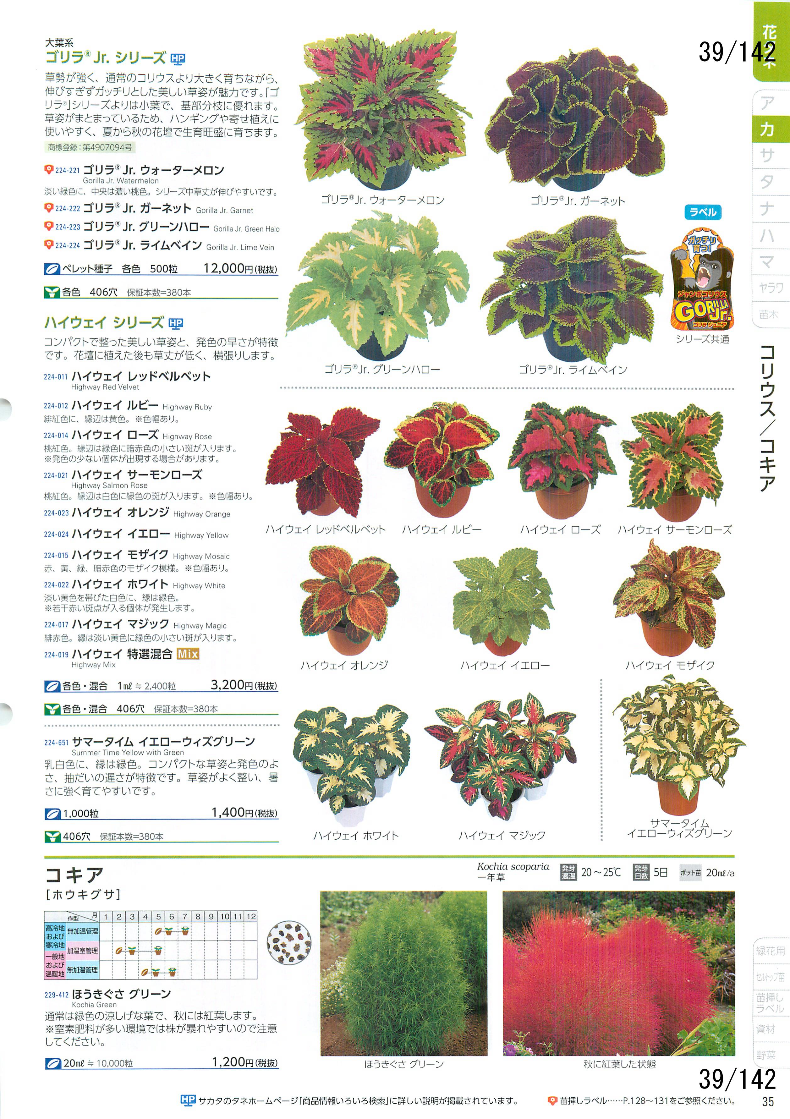 TJ^̉ CATALOG No.92F39y[W