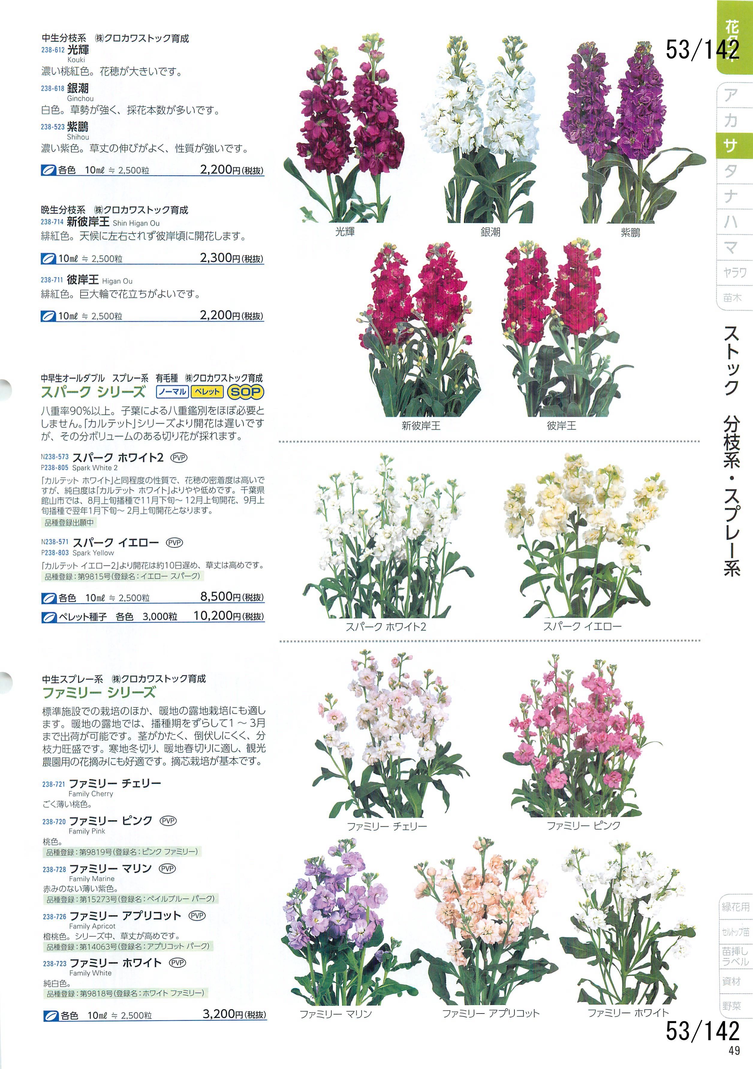 TJ^̉ CATALOG No.92F53y[W