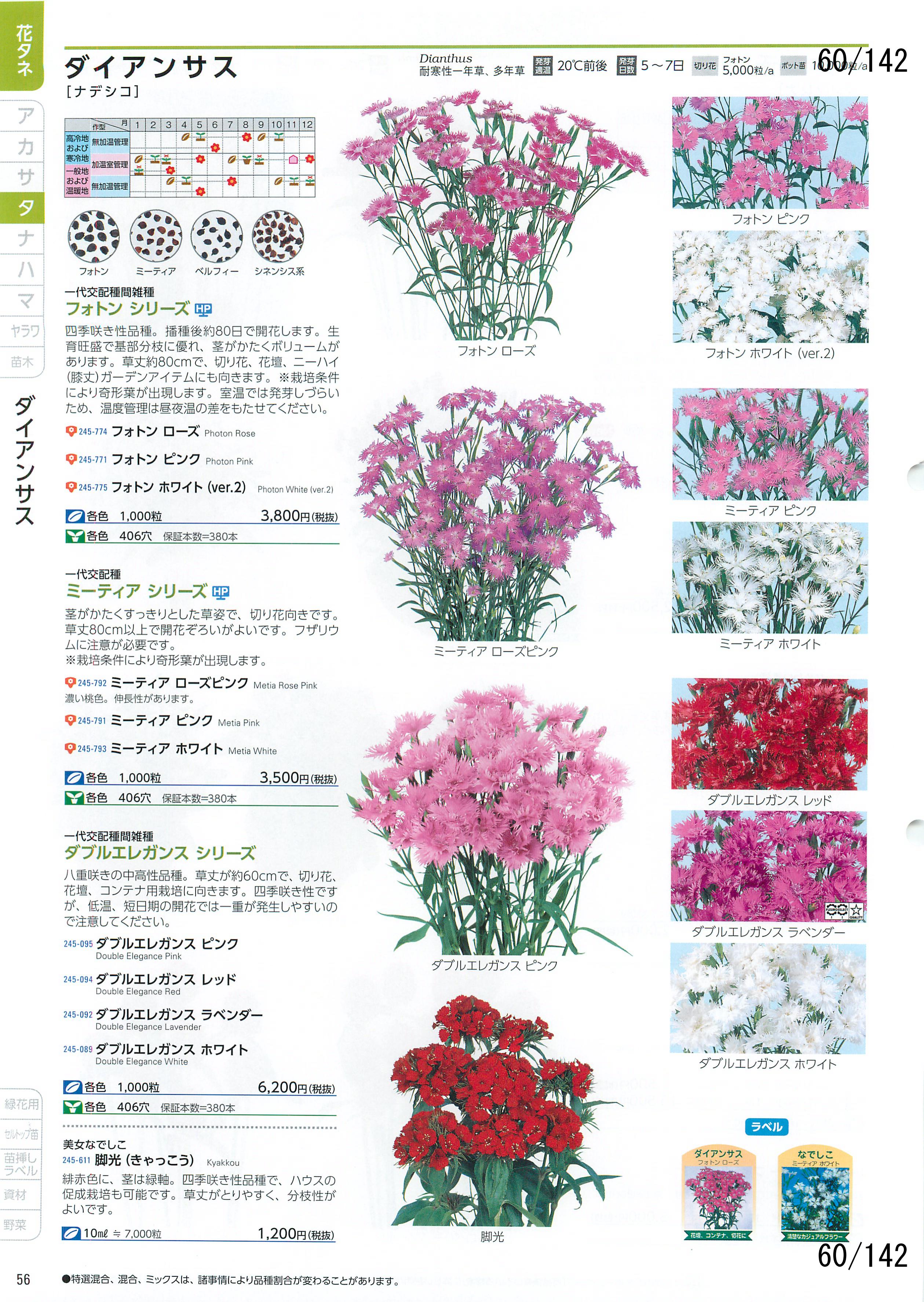 TJ^̉ CATALOG No.92F60y[W