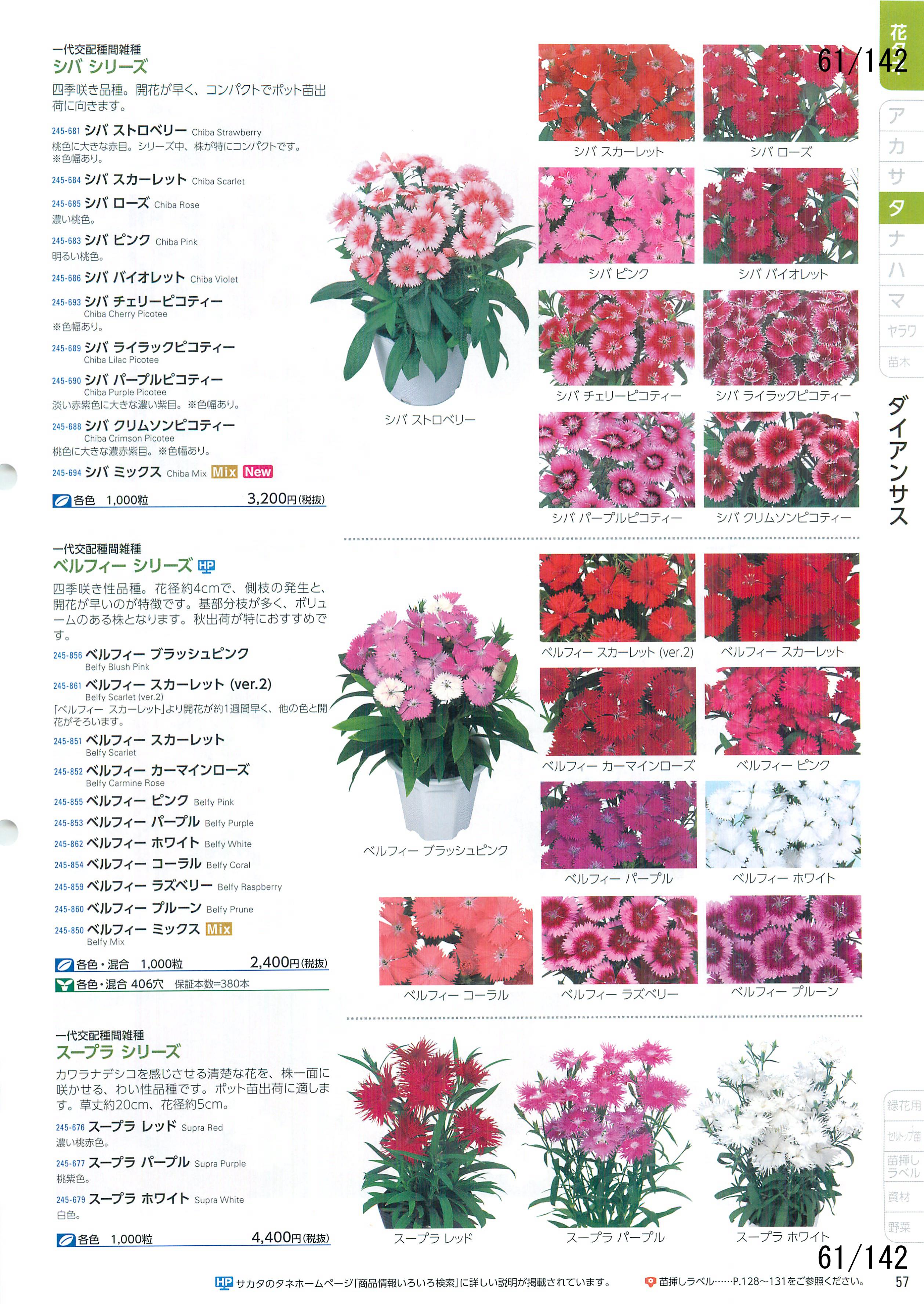 TJ^̉ CATALOG No.92F61y[W