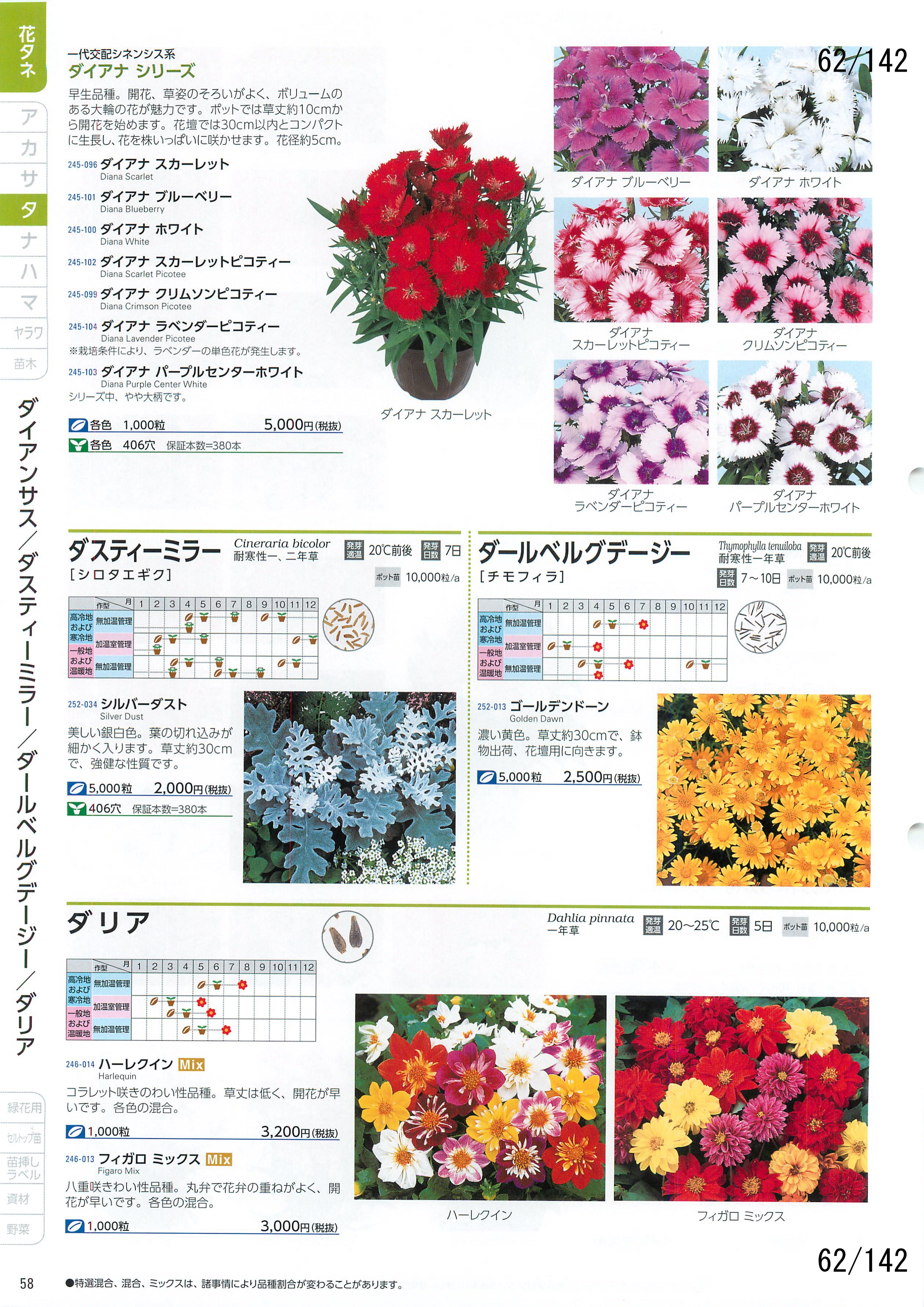 TJ^̉ CATALOG No.92F62y[W