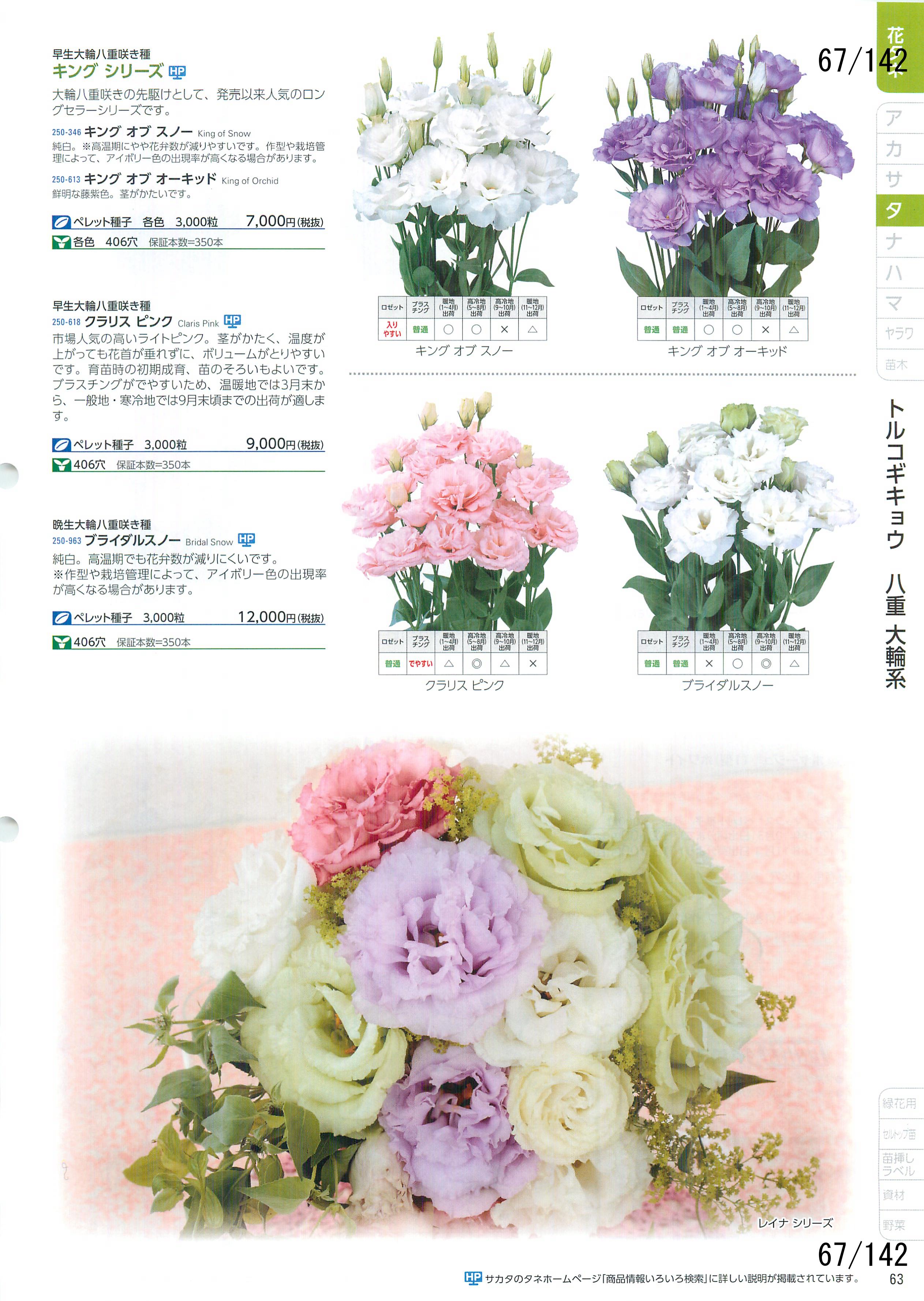 TJ^̉ CATALOG No.92F67y[W