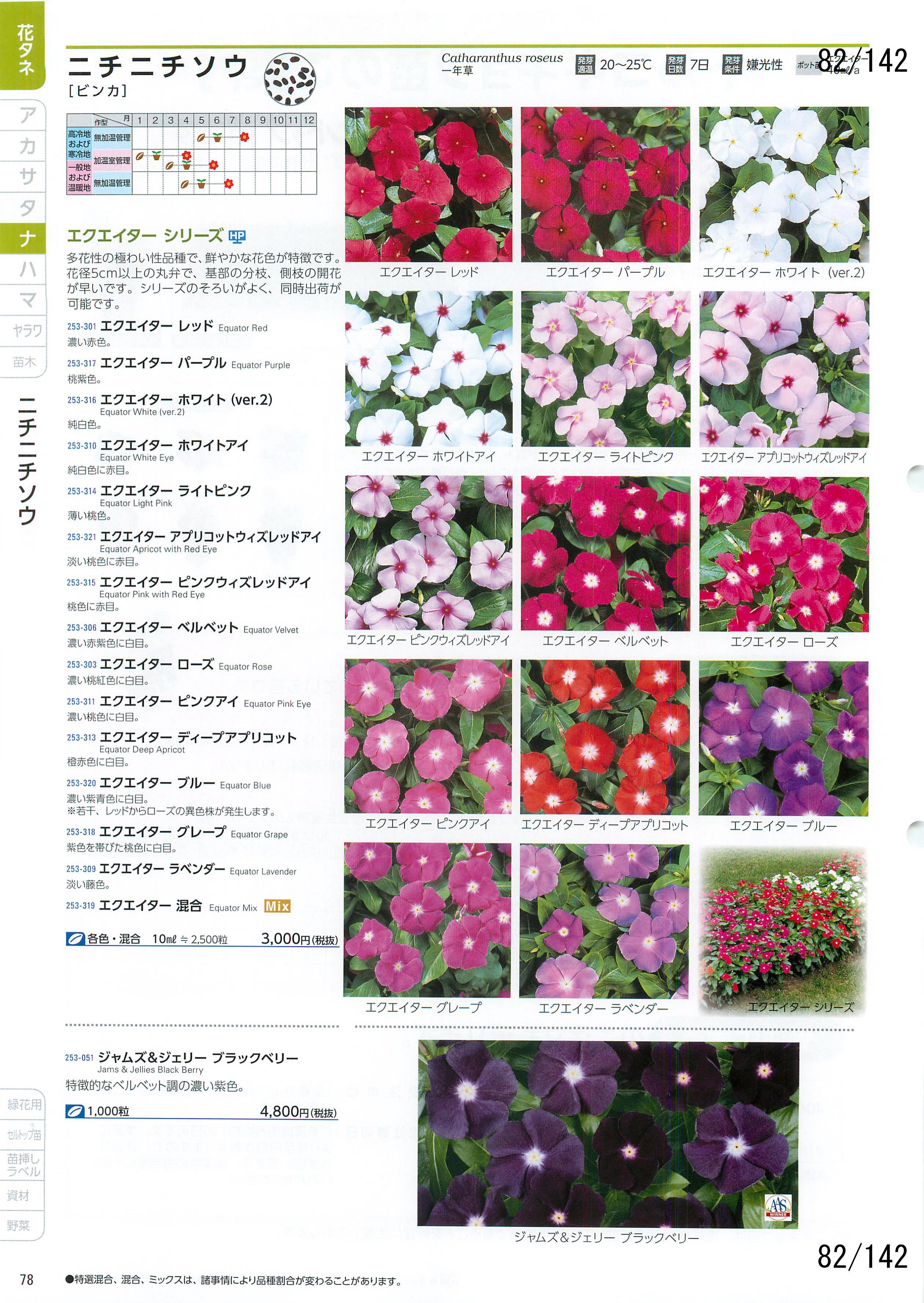 TJ^̉ CATALOG No.92F82y[W