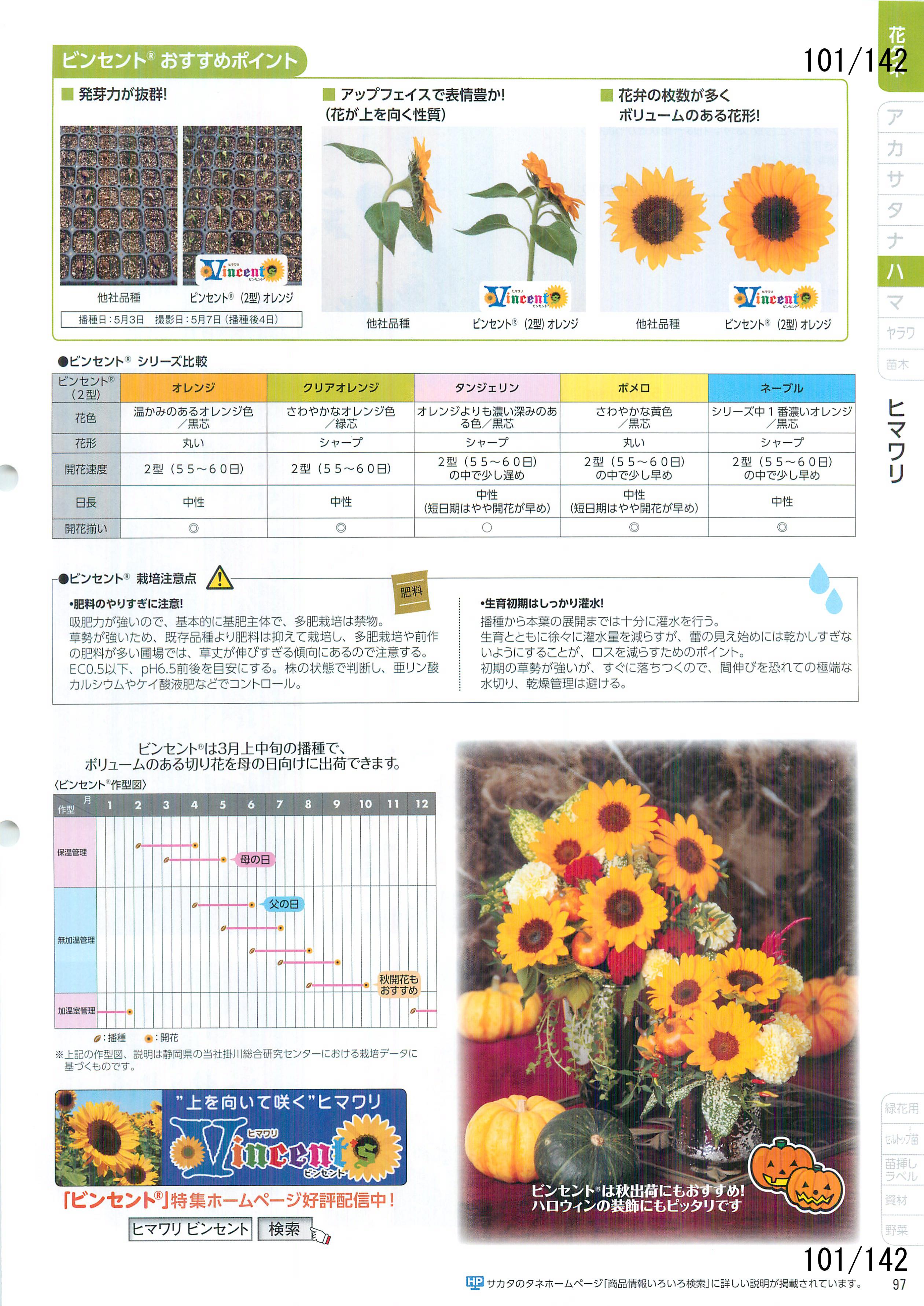 TJ^̉ CATALOG No.92F101y[W