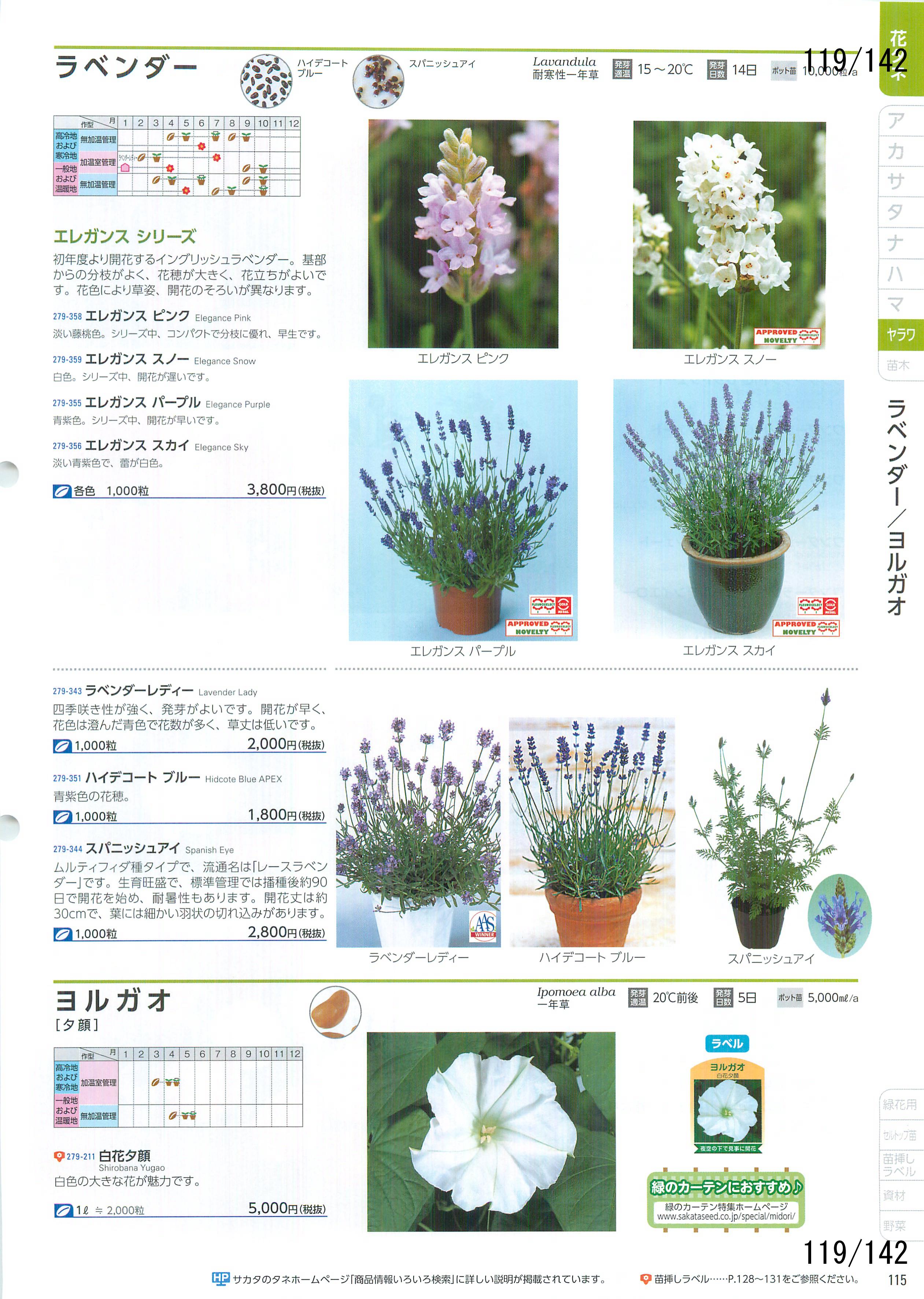 TJ^̉ CATALOG No.92F119y[W