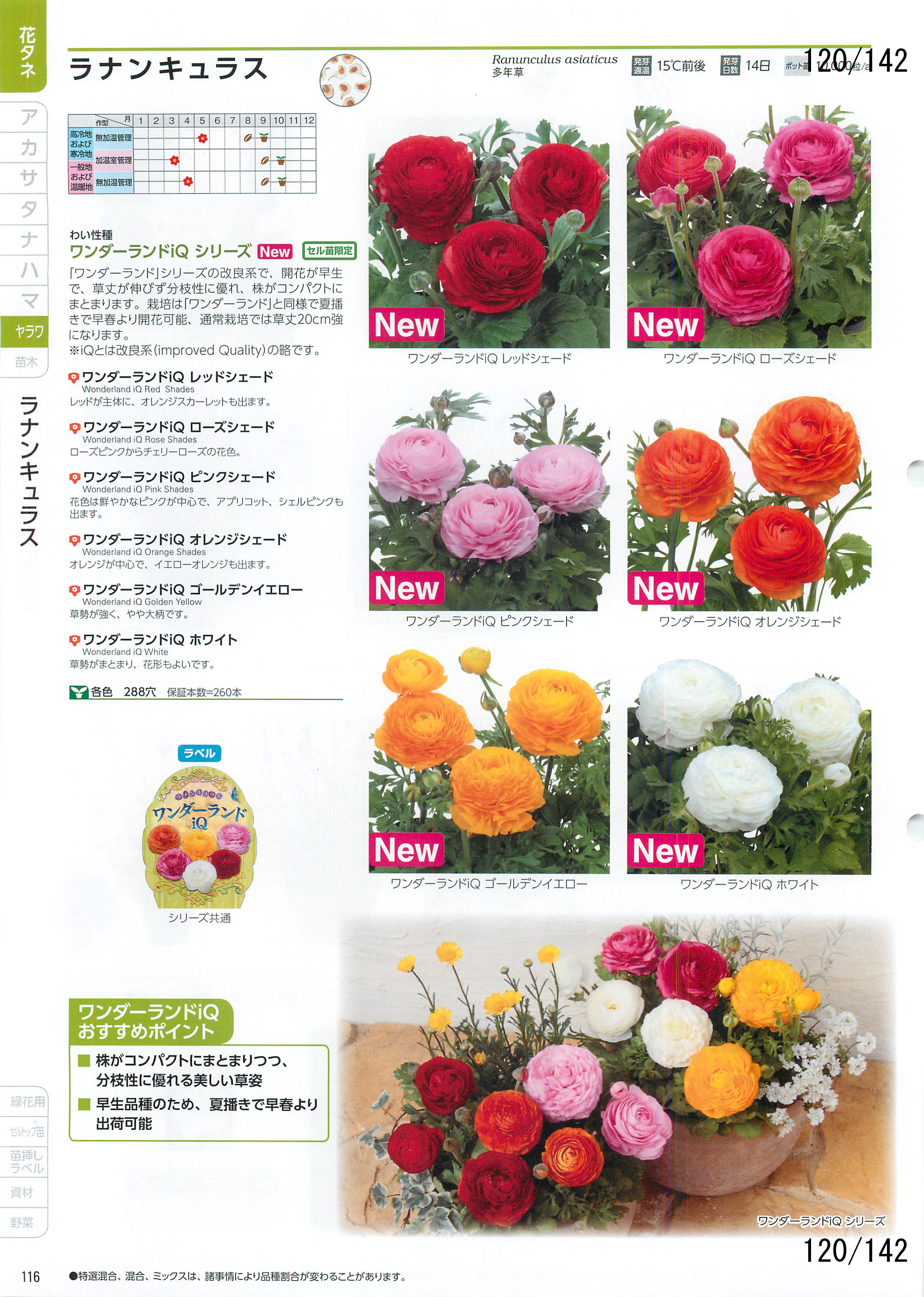 TJ^̉ CATALOG No.92F120y[W