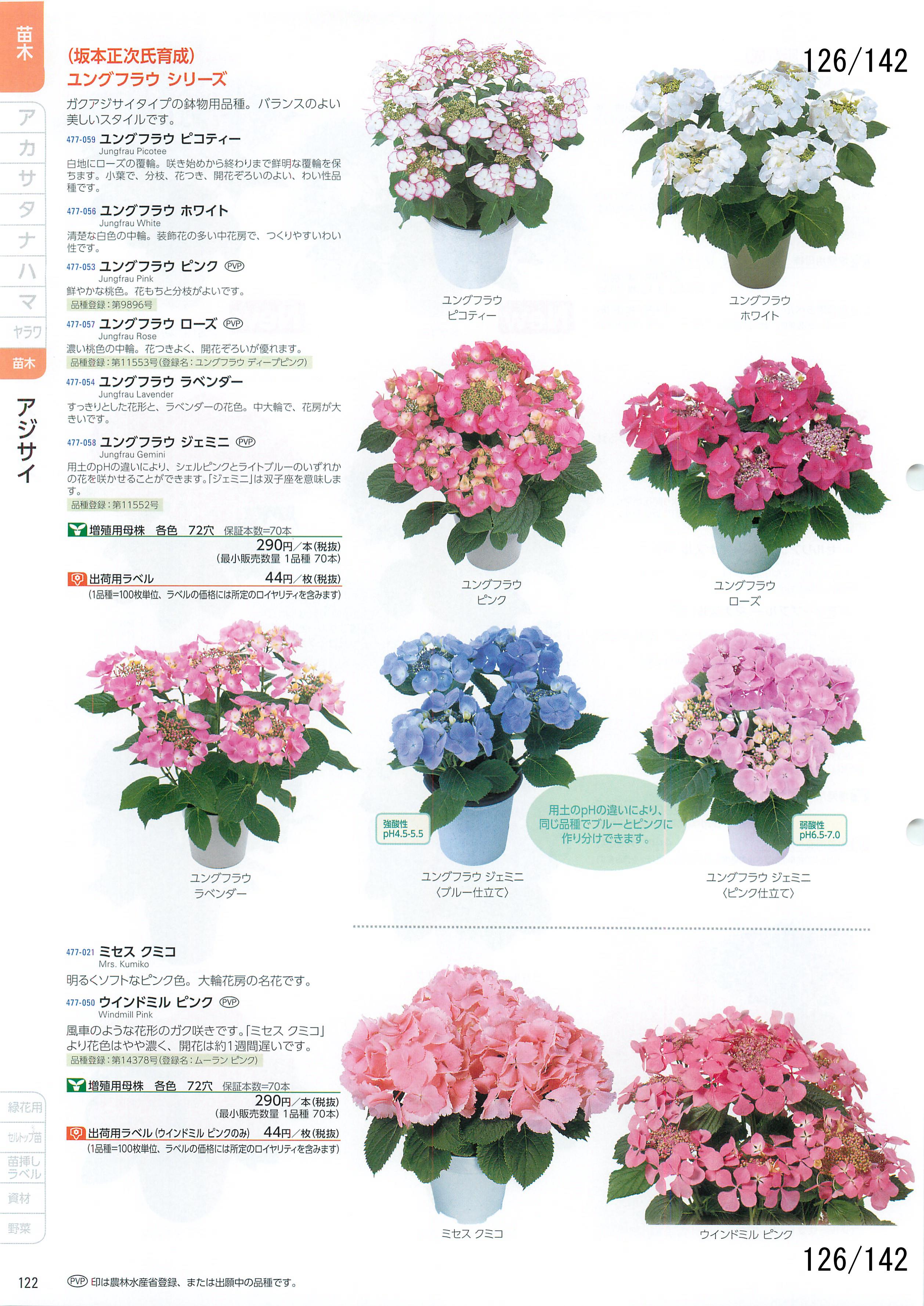 TJ^̉ CATALOG No.92F126y[W