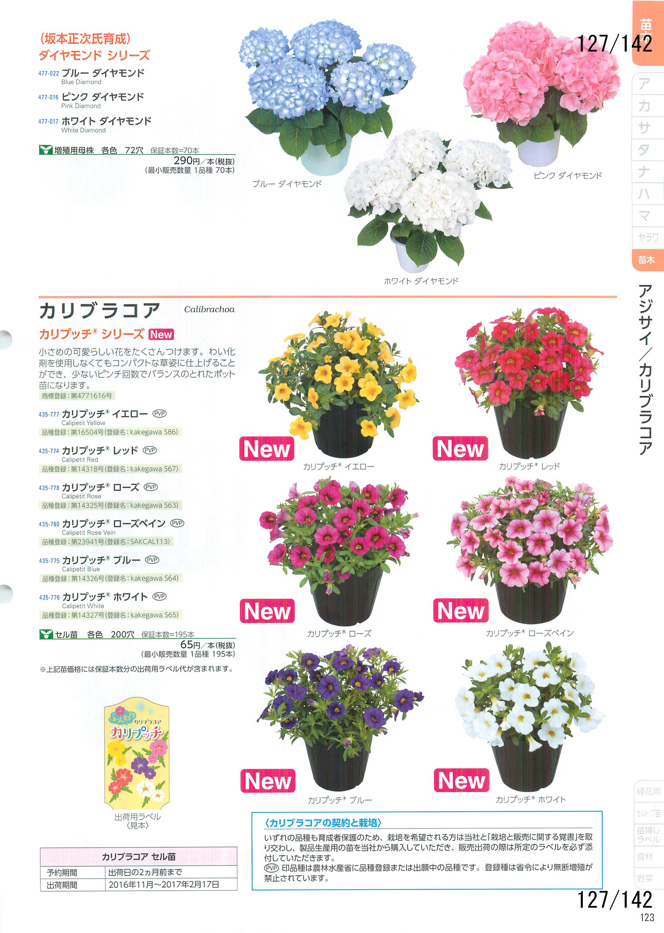 サカタの花 CATALOG No.92：127ページ