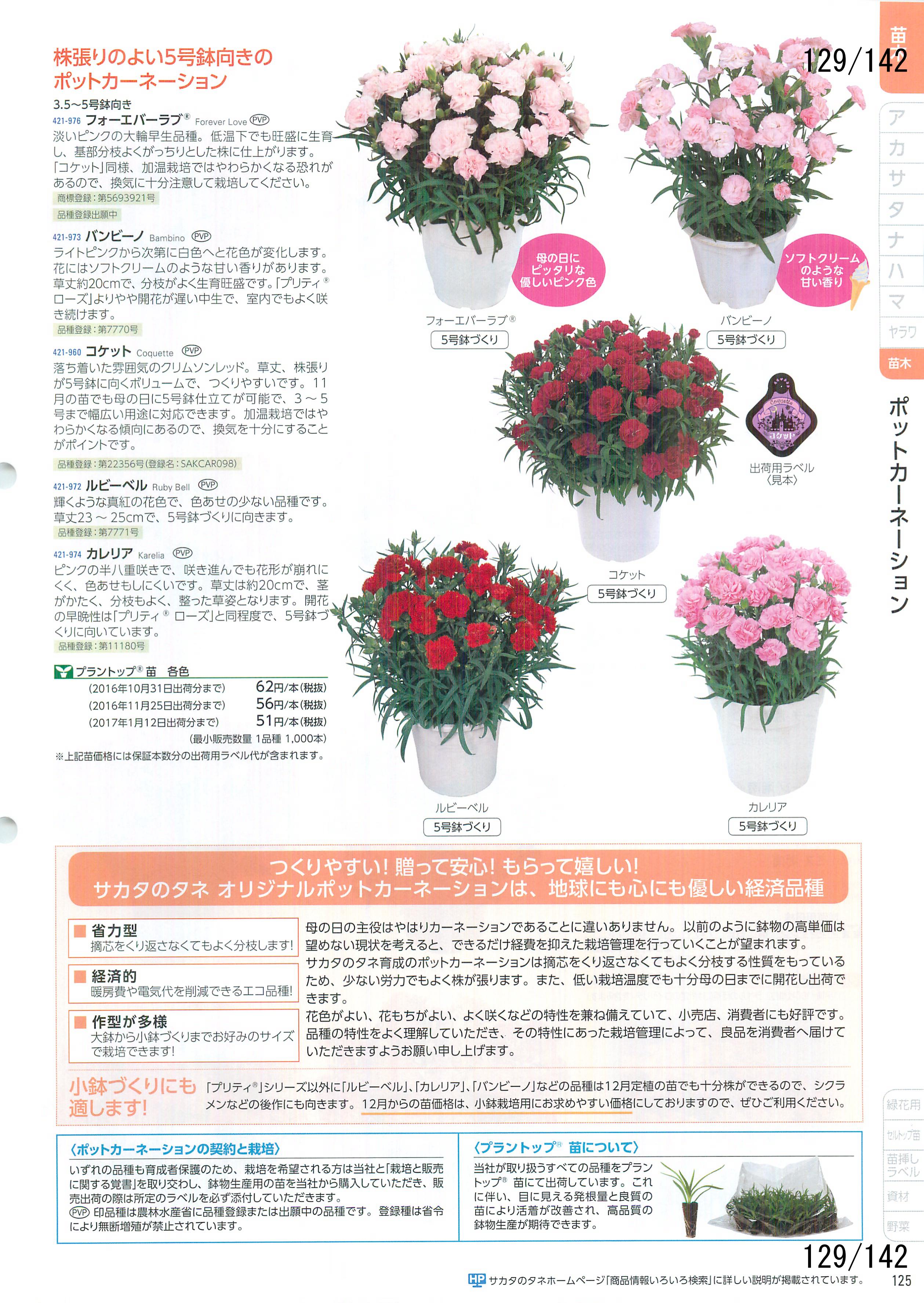 TJ^̉ CATALOG No.92F129y[W